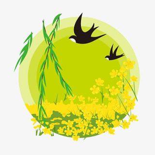 春分燕子油菜花免抠