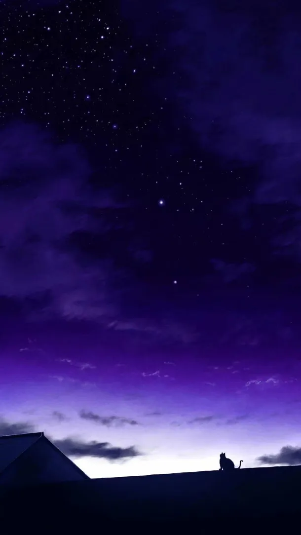 夜晚星空壁纸免抠