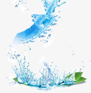 绿叶水波浪花免抠