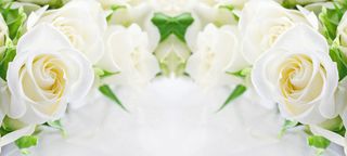 简约唯美白色花朵浅色背景海报背景高清