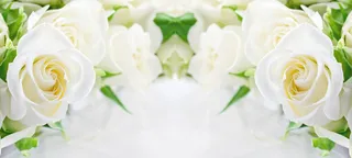 简约唯美白色花朵浅色背景海报背景高清