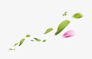 绿色花瓣飘落漂浮素材免抠