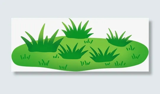 一大片青草地免抠