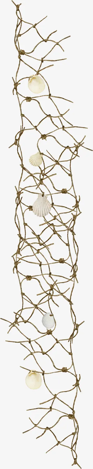 棕色绳子渔网扇贝免抠