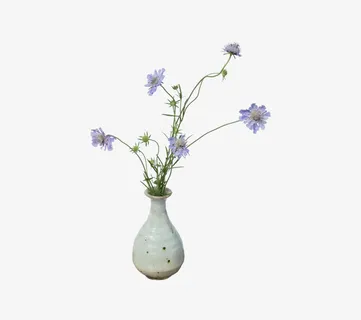 满天星插花免抠