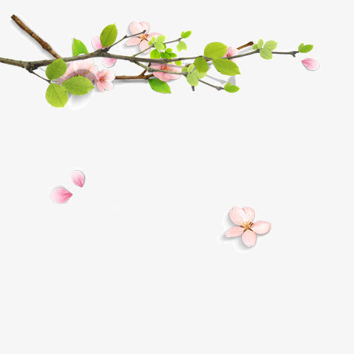 春天的树枝矢量素材图片免抠