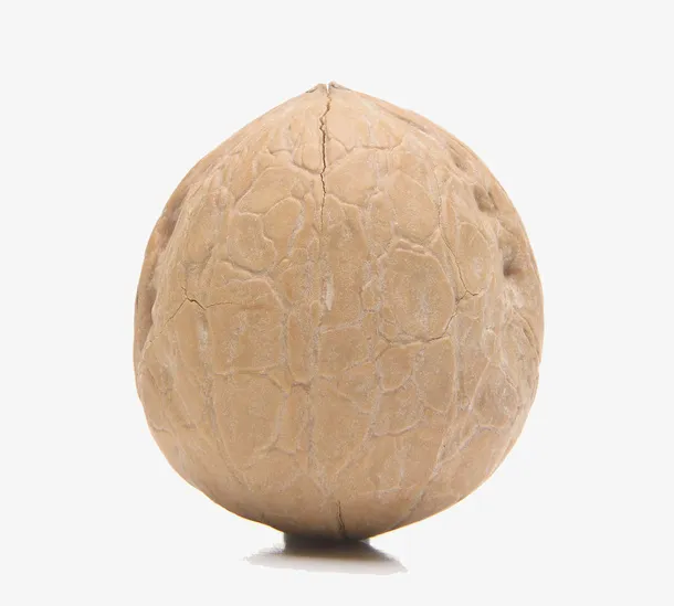 核桃坚果免抠