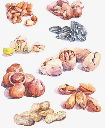 坚果免抠
