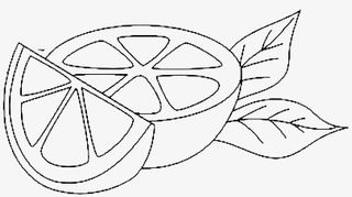 橙子线稿图免抠