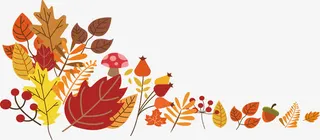 卡通秋天落叶松果横幅免抠