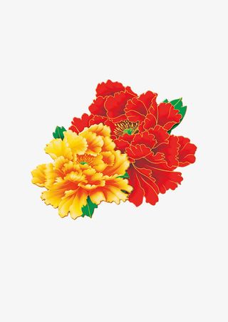 牡丹花朵花瓣免抠