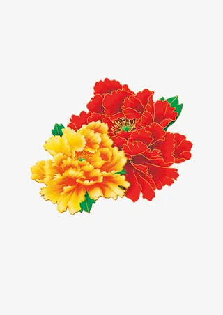 牡丹花朵花瓣免抠