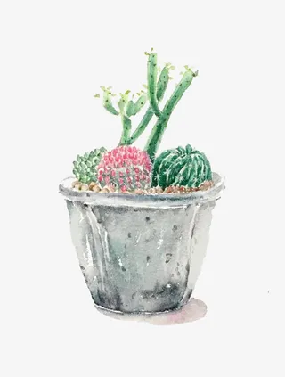 卡通盆栽仙人掌免抠