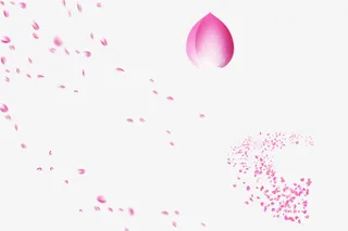 花瓣粉红花瓣不规则漂浮特效免抠