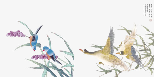 中国风花鸟素材免抠