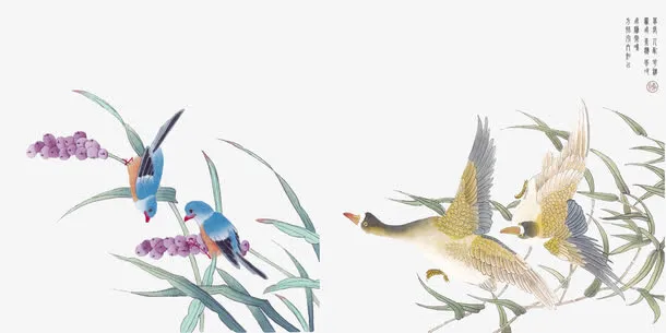 中国风花鸟素材免抠