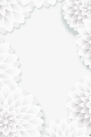 白色美丽花朵框架免抠