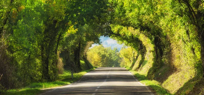 春季女装新品高清