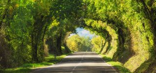 春季女装新品高清