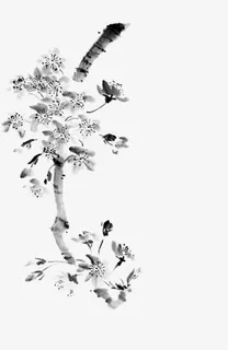 水墨花鸟免抠