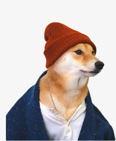 创意柴犬素材图片免抠