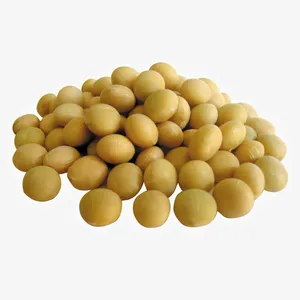 黄豆免抠