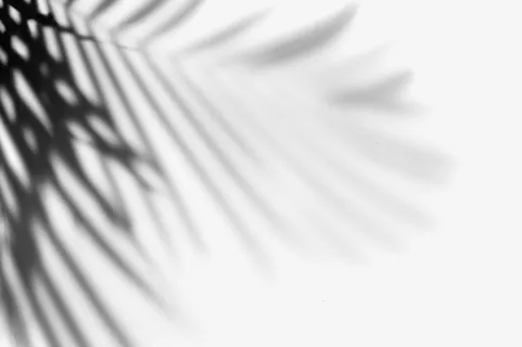 光影 影子 光线 装饰免抠