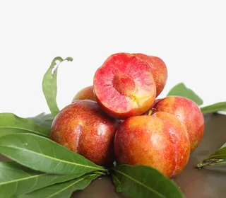 现摘红心李免抠