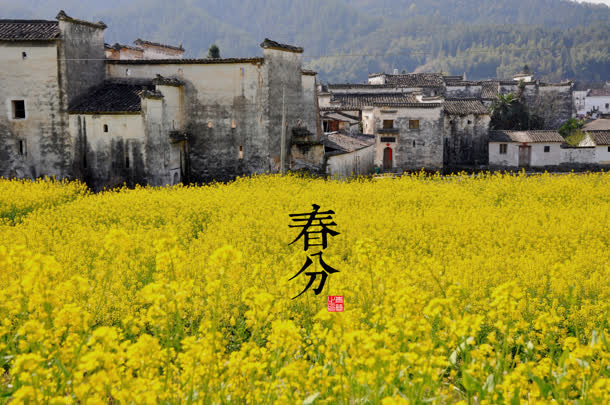 野外的老房子油菜花免抠