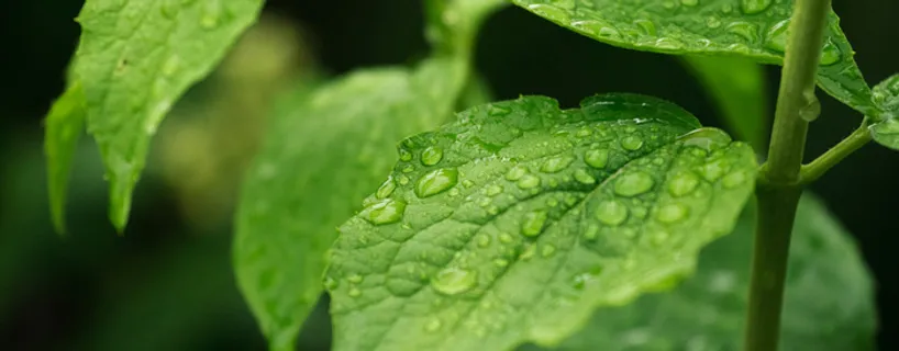 淘宝 天猫 banner 背景高清