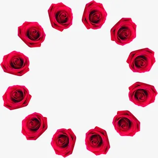 浪漫玫瑰花背景图片