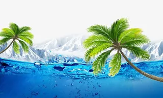 海岛椰树免抠