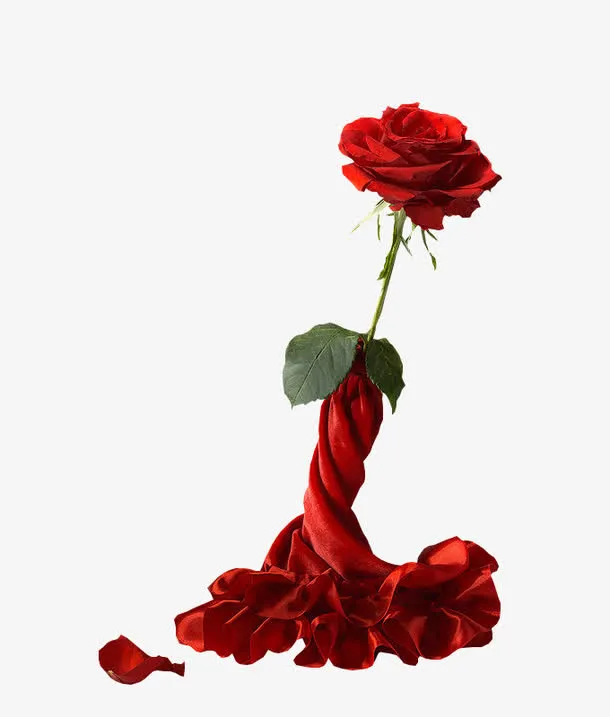 红花丝绸免抠