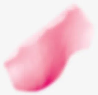 复古水墨笔刷花瓣免抠