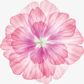 梦幻唯美花朵免抠