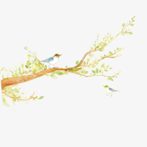 手绘树枝小鸟免抠