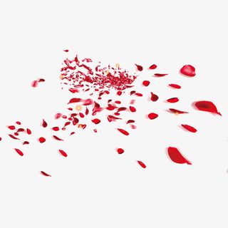 飘散的玫瑰花瓣七夕情人节免抠