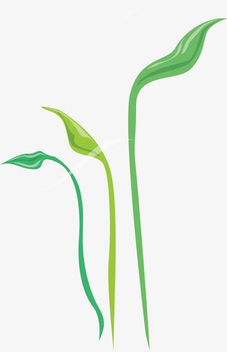 长在石头的小草手绘小草地免抠