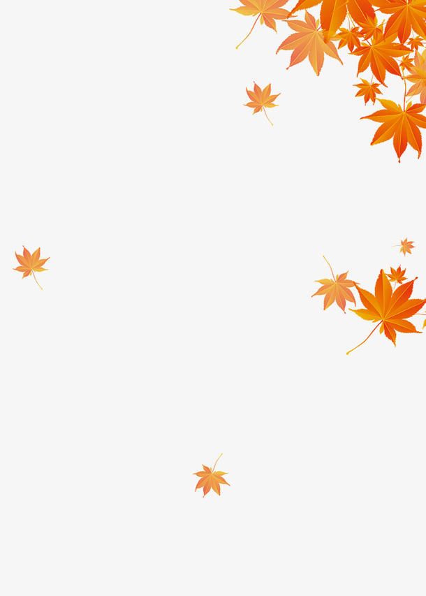 秋天的红色枫叶免抠