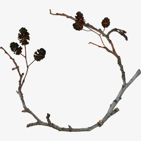 枯树枝免抠