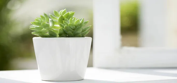 淘宝背景图高清