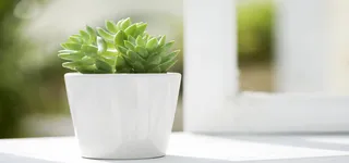 淘宝背景图高清