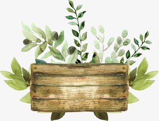 花瓣装饰素材图案免抠