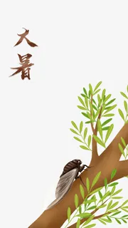 大暑夏天树枝知鸟免抠