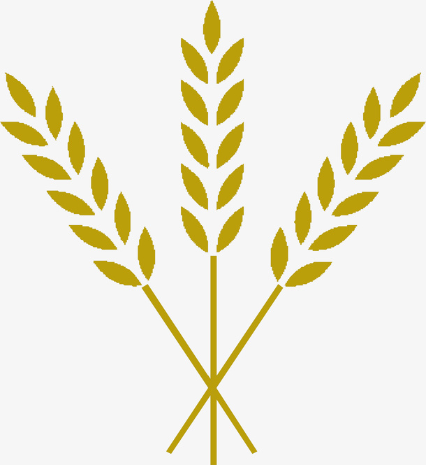 谷物麦穗矢量图素材免抠