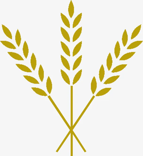 谷物麦穗矢量图素材免抠