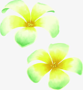 春天黄绿色漂浮花朵手绘装饰免抠