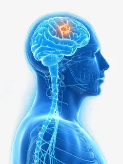人脑袋免抠 人脑袋免抠