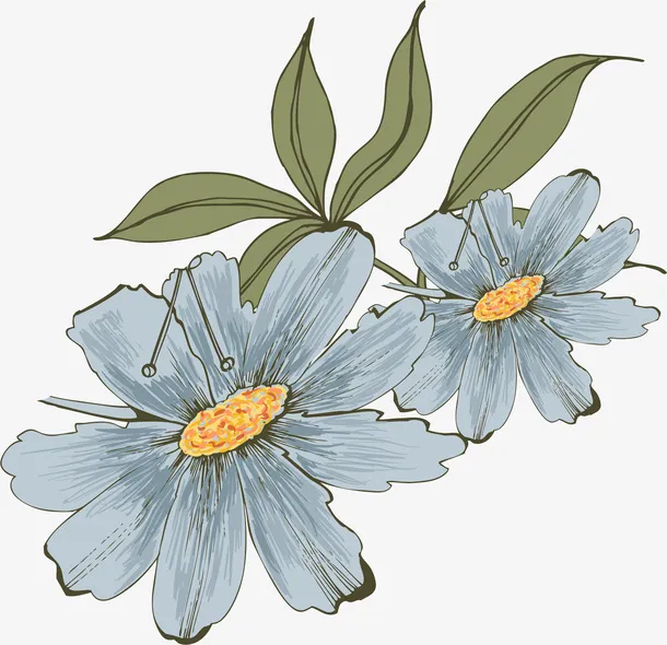 手绘灰色花朵免抠