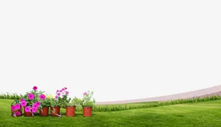 春天绿草地免抠